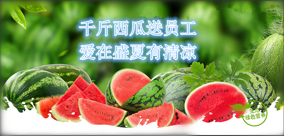 通達軟件公司： 千斤西瓜送員工，愛在盛夏有清涼